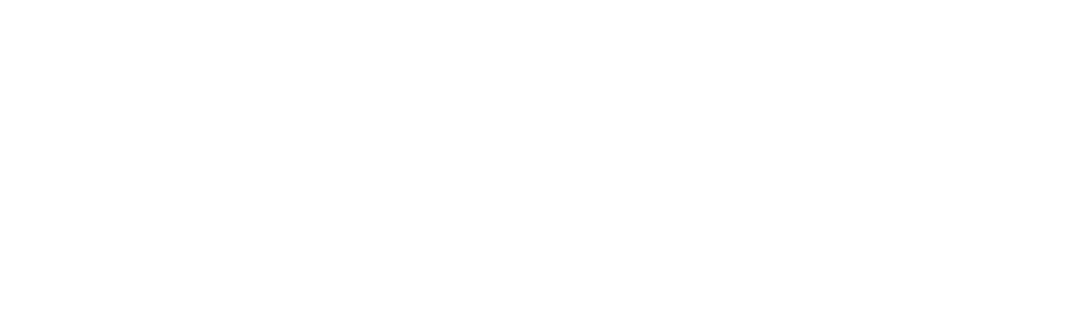 GS R53 Mini Specialists Logo